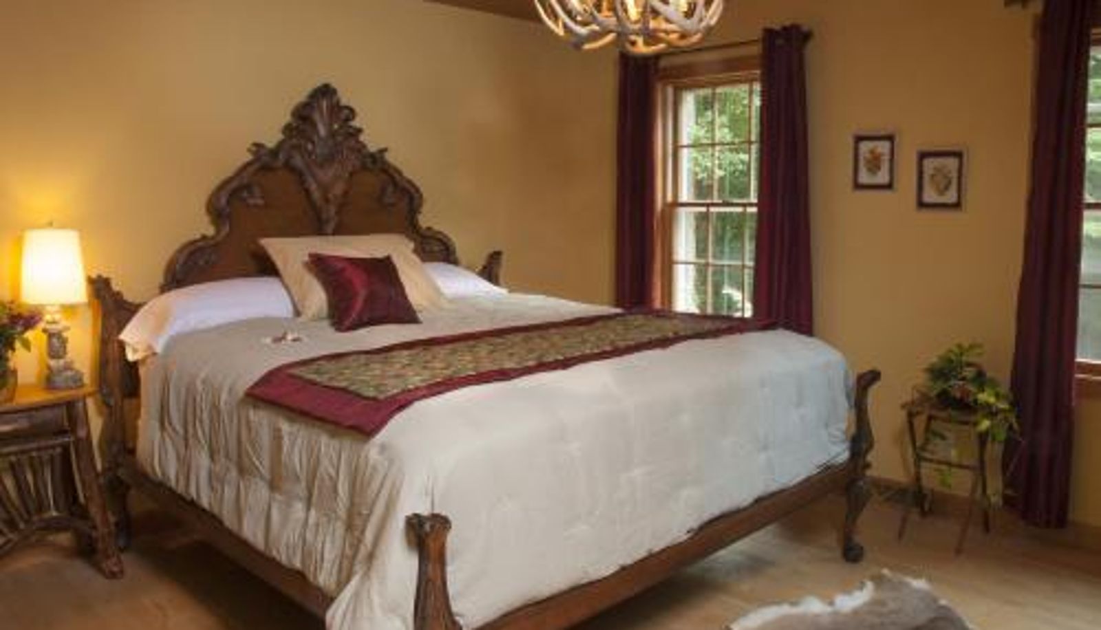 Camera - Hidden Serenity Bed and Breakfast