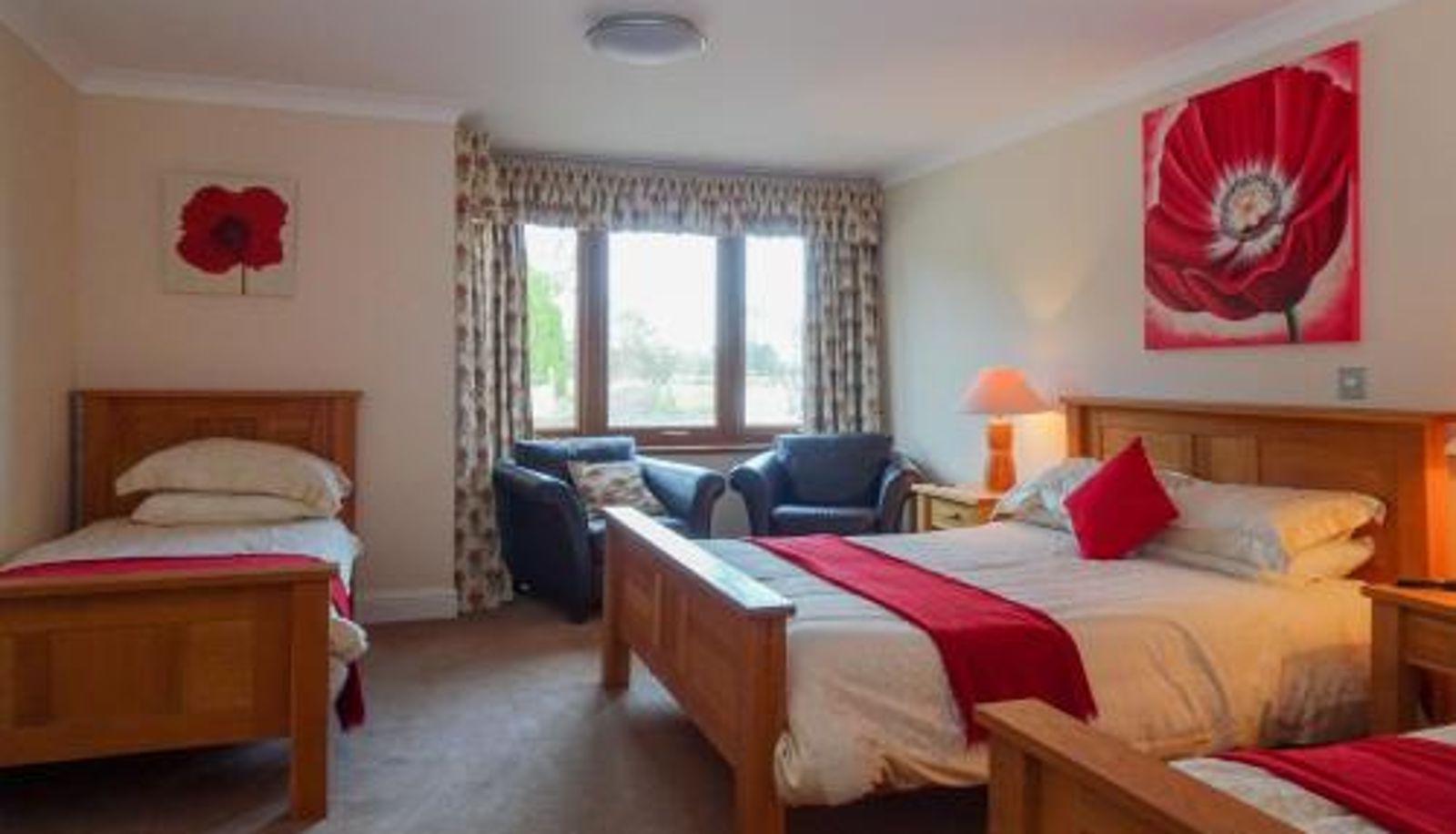 Chambre - Peggyslea Farm B&B