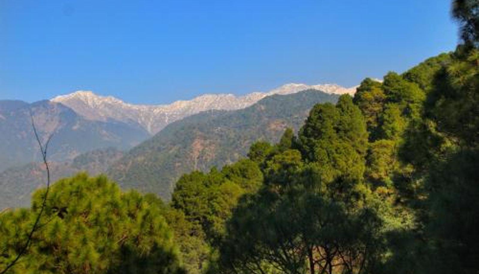 Info - Rendezvous Resort Dharamshala