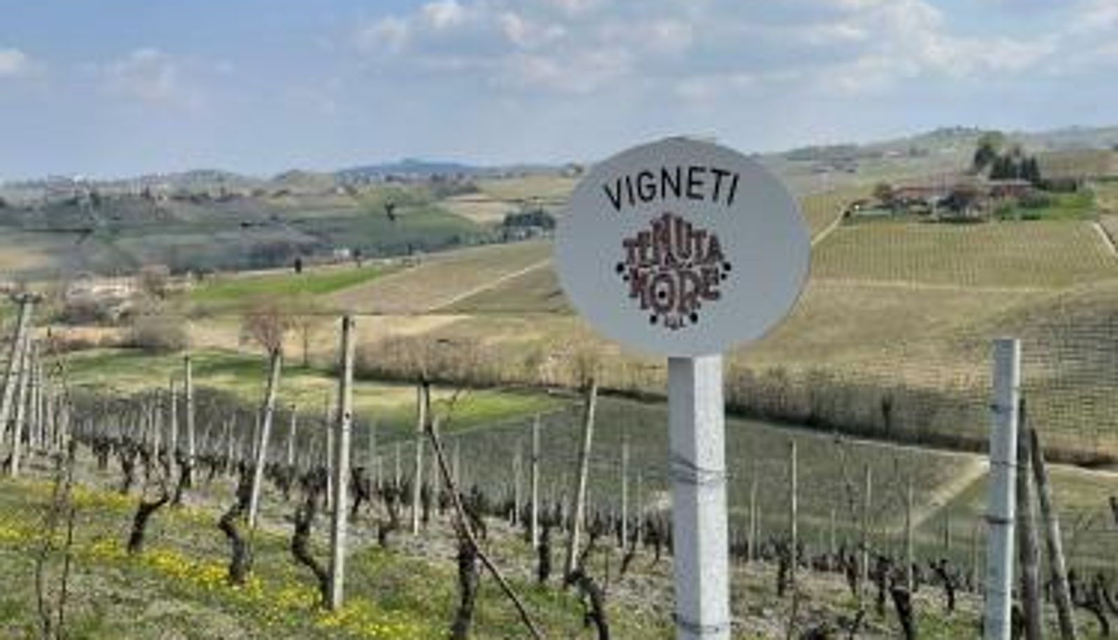 Info - Tenuta Le More