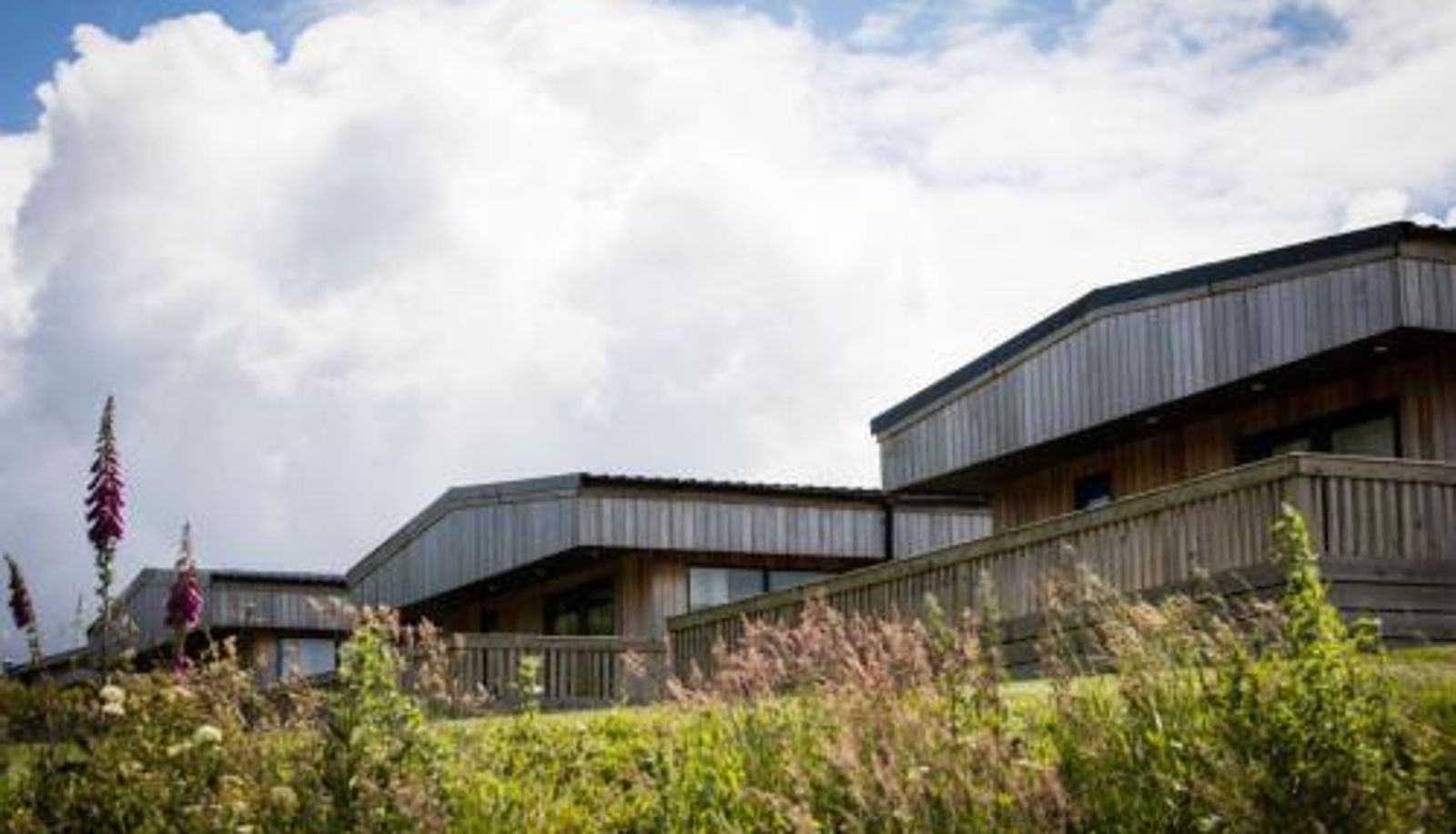Buitenruimte van het hotel - Skern Adventure Abbotsham