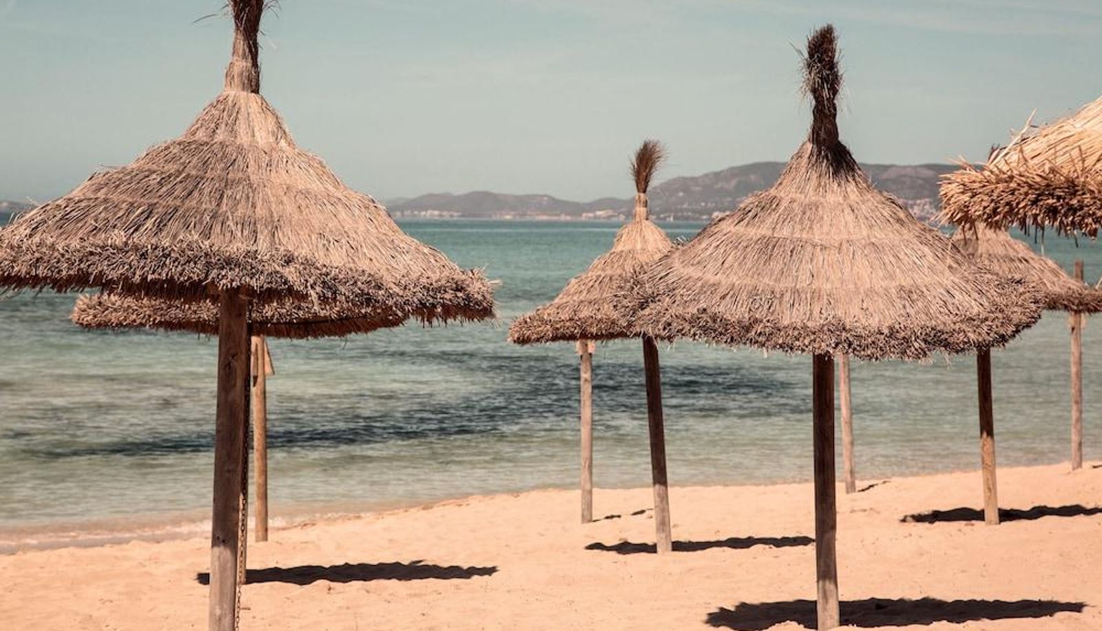 Playa - Cook's Club Palma Beach