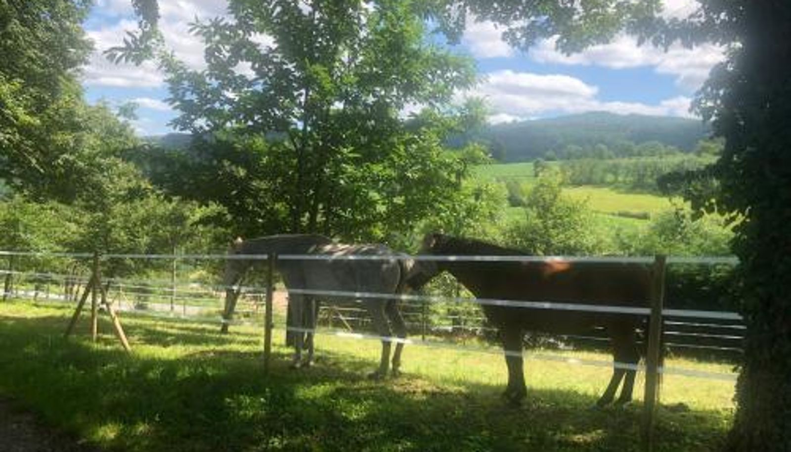 Info - Manoir D Avray BEAUJOLAIS