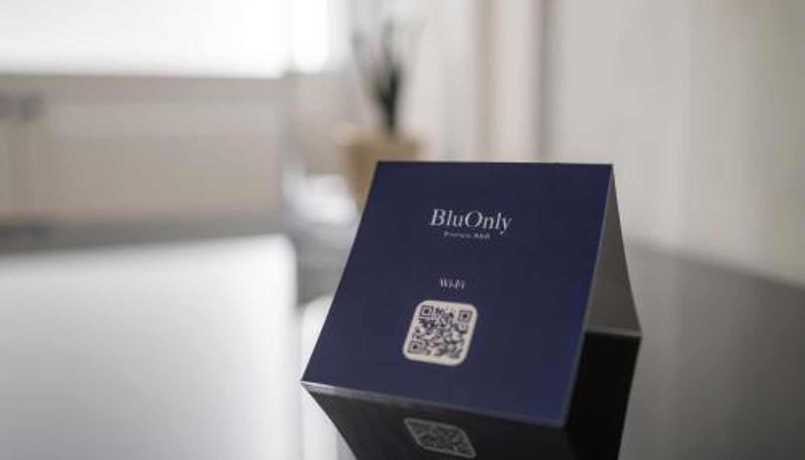 Info - Bluonly Boutique B&B