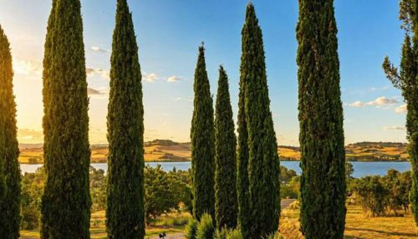 Informacje - Terracqua Boutique Retreat I Essence of Tuscany