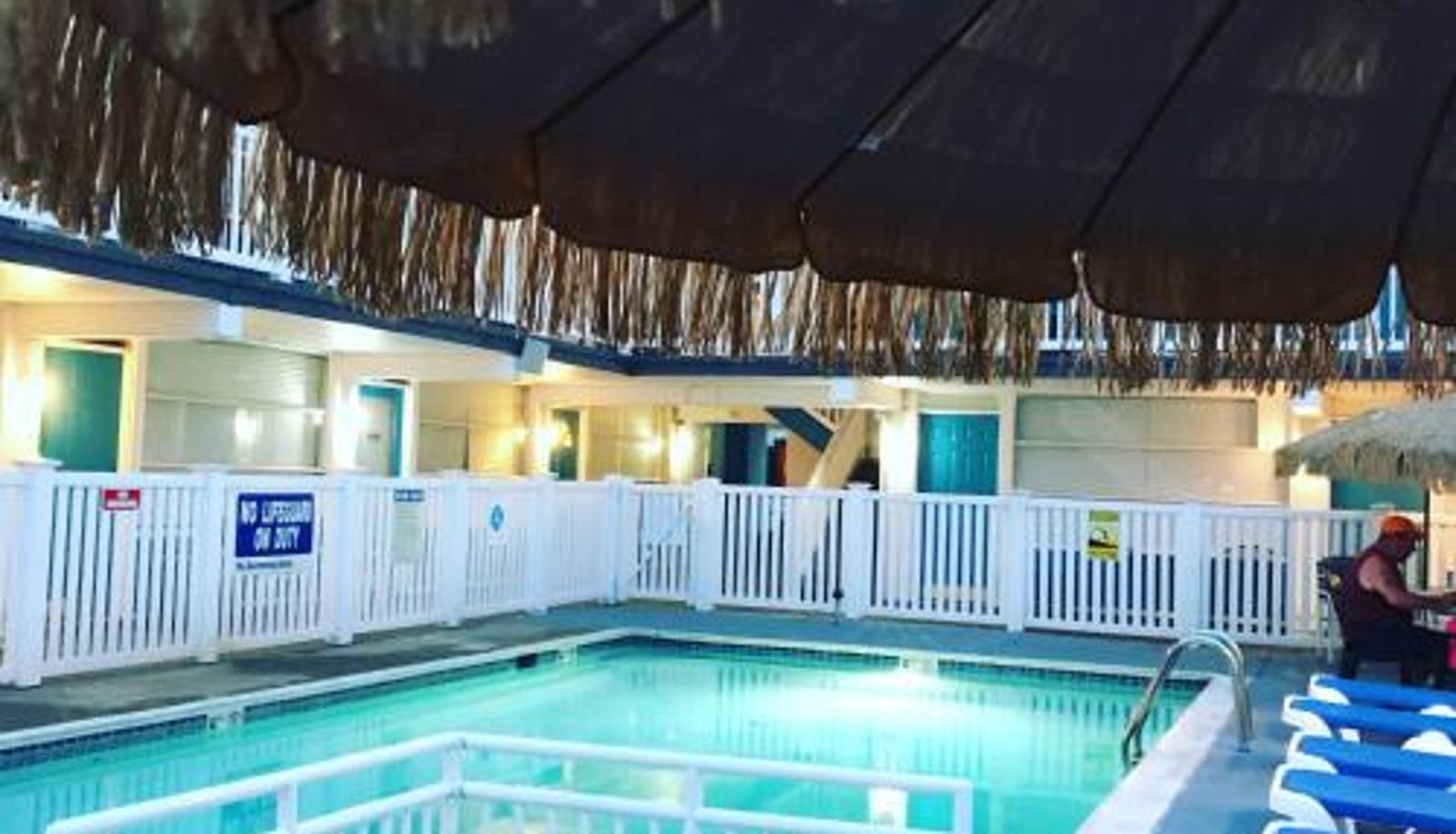 Pool - Bird of Paradise Motel