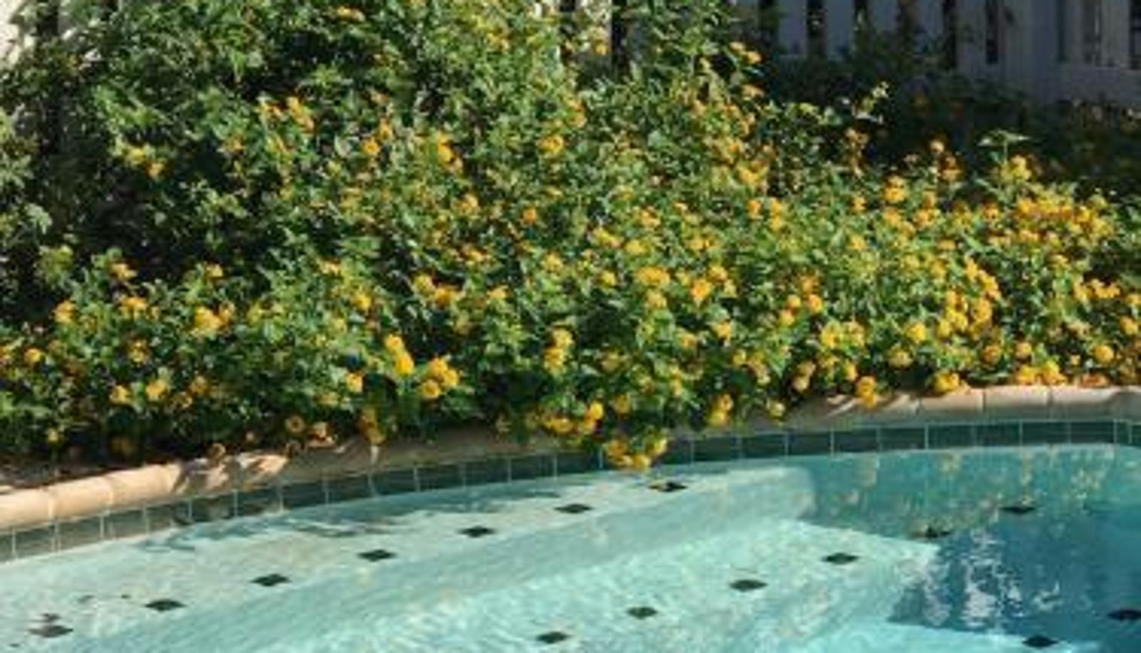 Basen - The Plantation House Boutique Inn