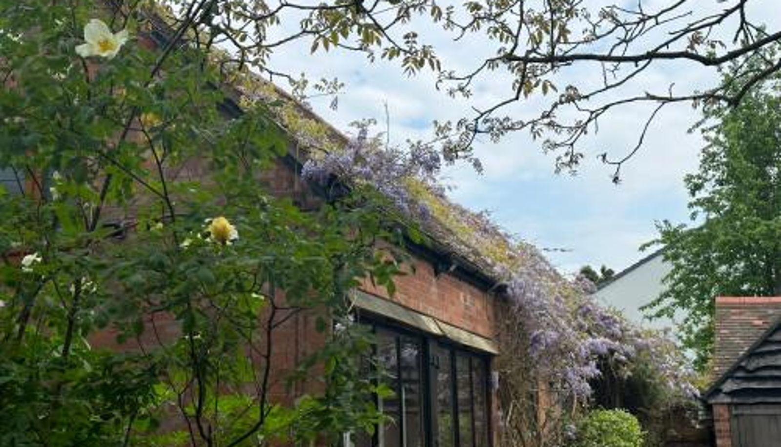 Info - Pet Friendly Dairy Cottage