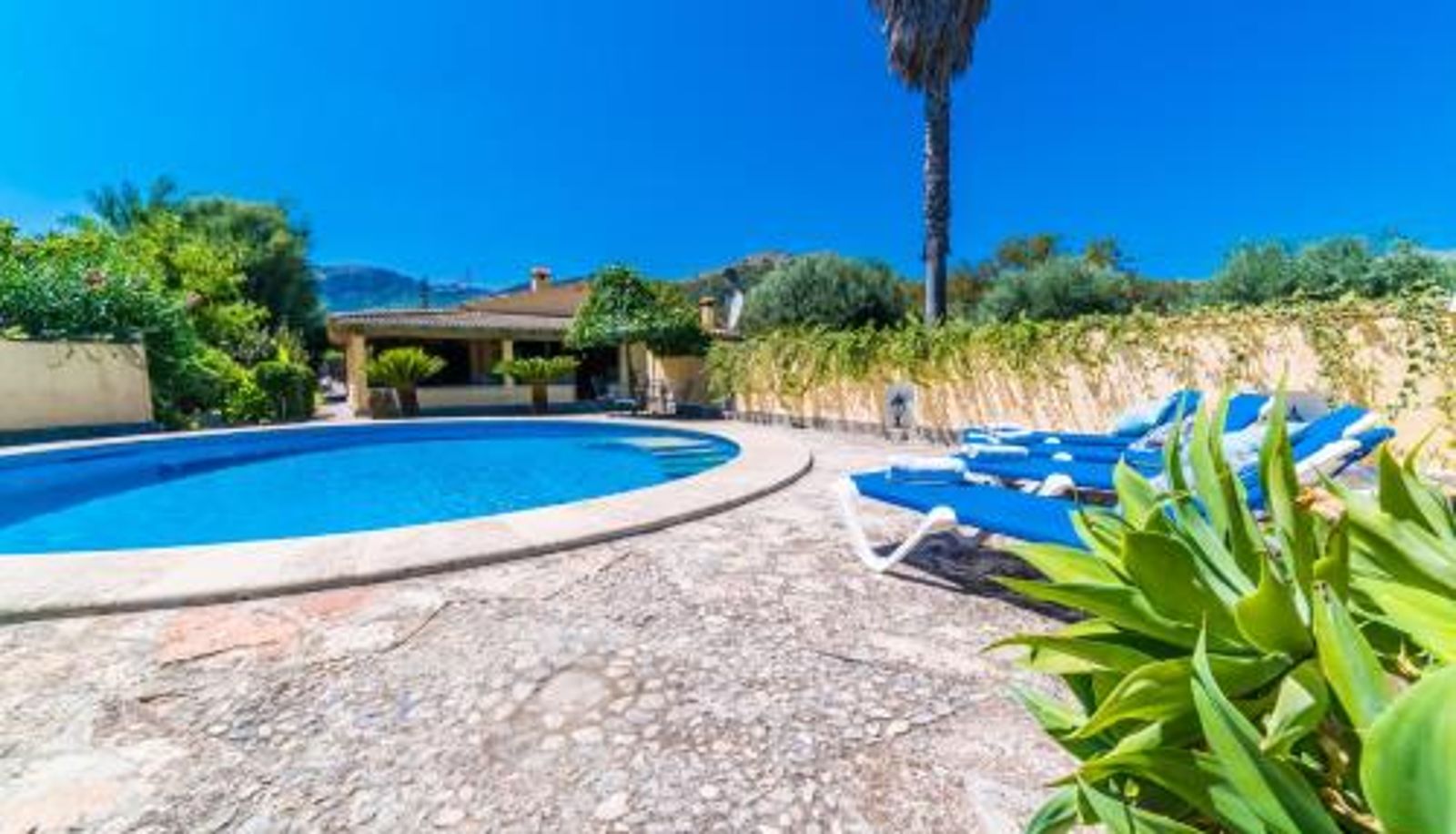 Piscina - Ideal Property Mallorca - Sort Llarga