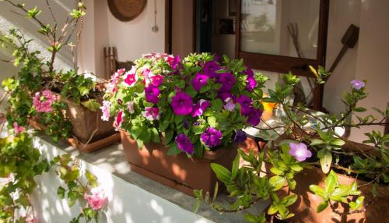 Info - B&B Martina