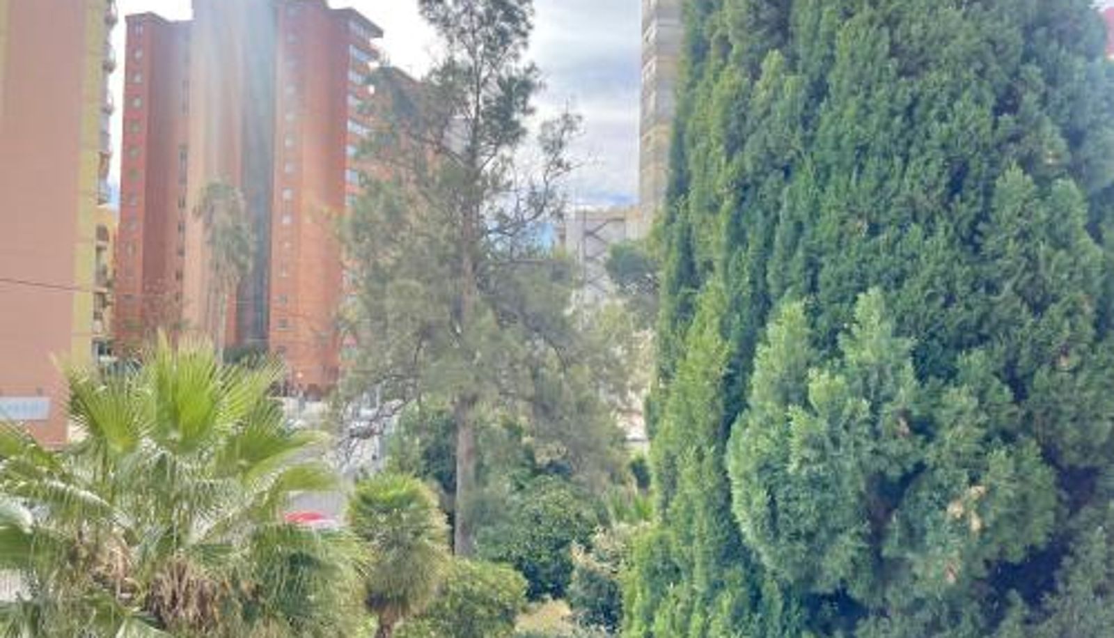 Standard room - Torre Colon