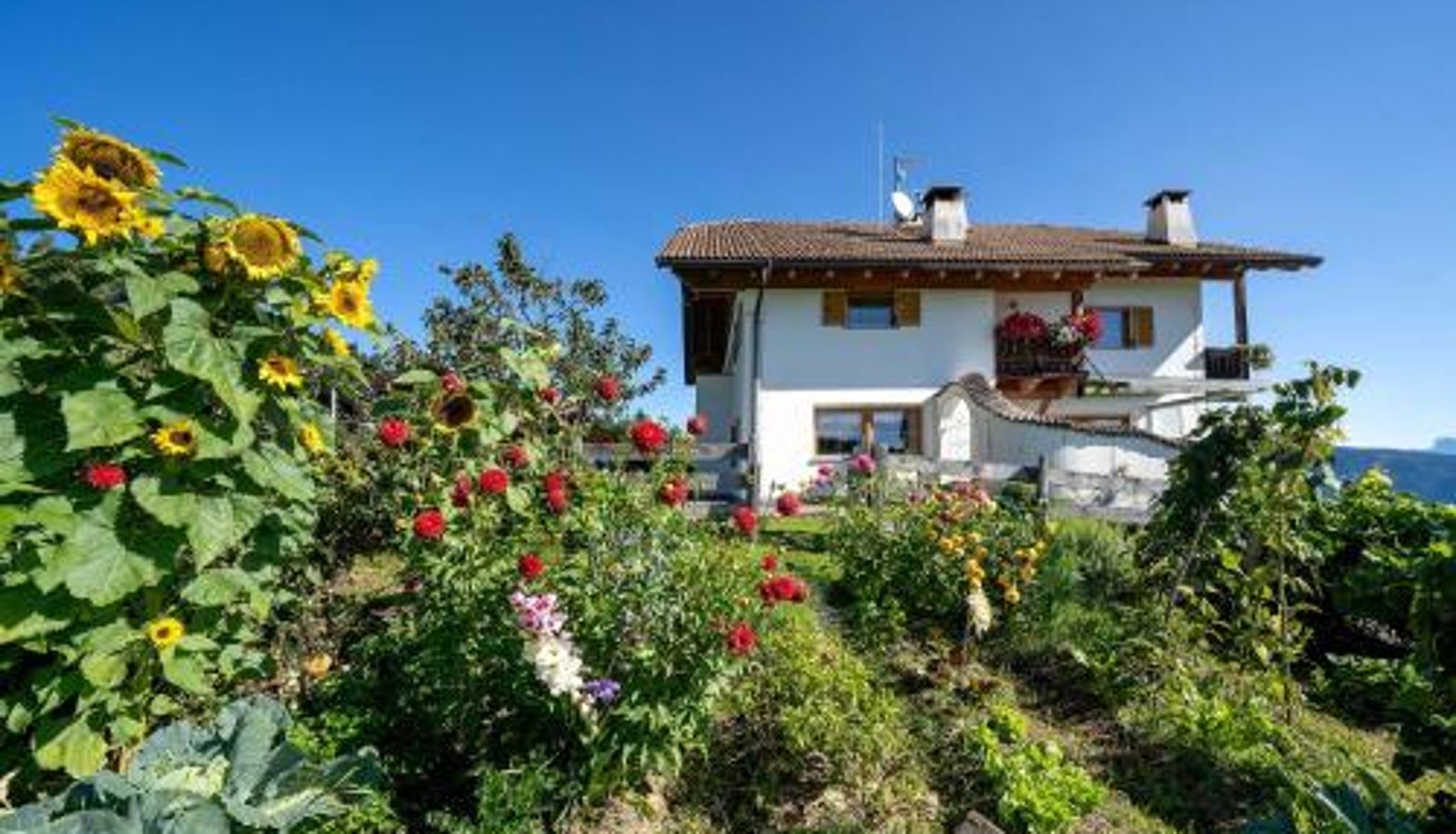 Habitación estándar - Stücklhof Wohnung Edelweiss