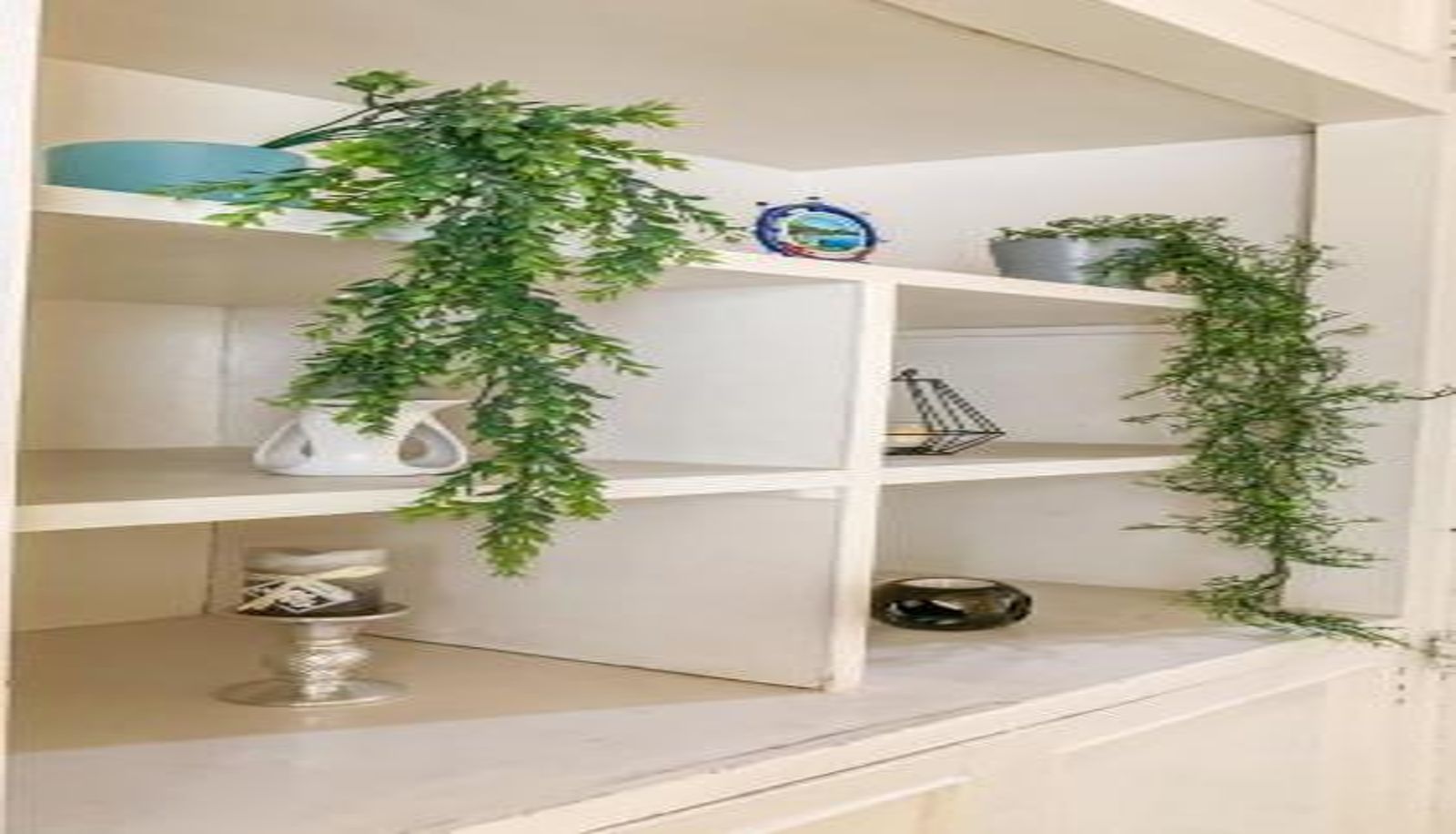Apartamento - Apartamentos Estilo Republicano - Centro Histórico