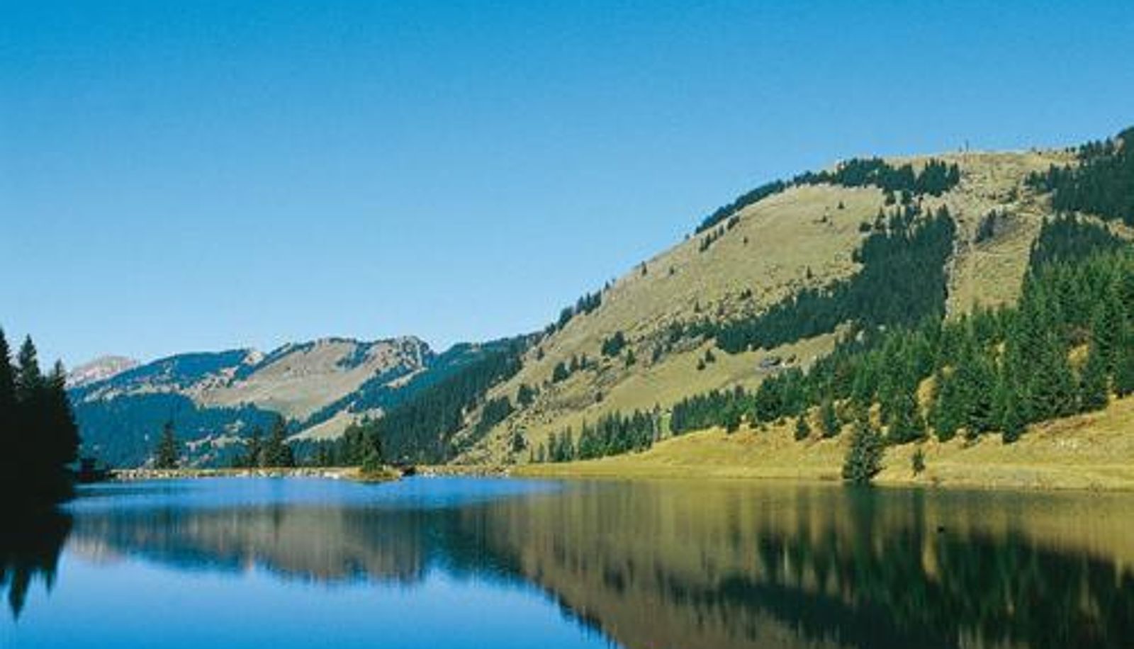 Info - Les 4 Elements - Apt D104 - BO Immobilier- Châtel -Reduced prices on ski passes Châtel & Portes du Soleil