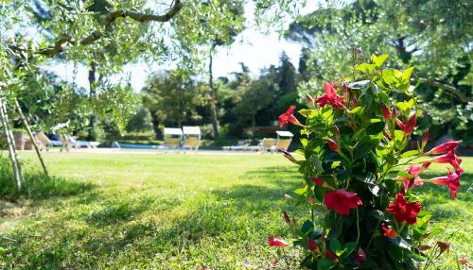 Pool - Frascati Country House