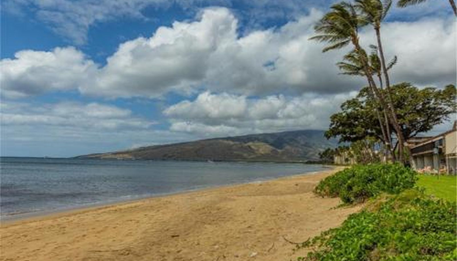 Standardzimmer - #C-8 MAALAEA SURF