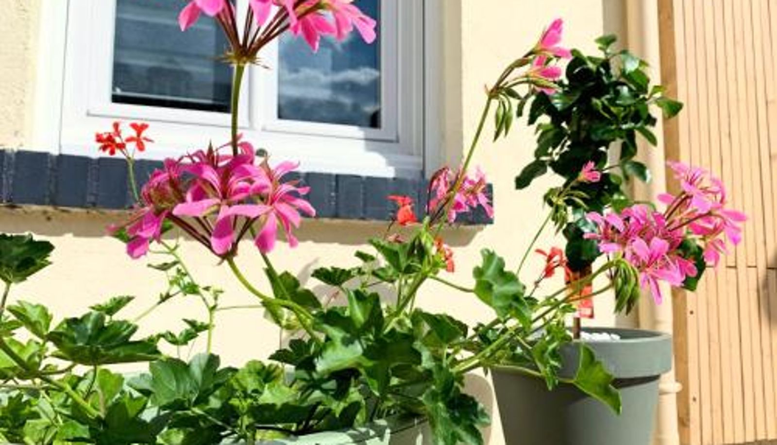 Apartment - Eco-Appart'hôtel Rouen - JDP