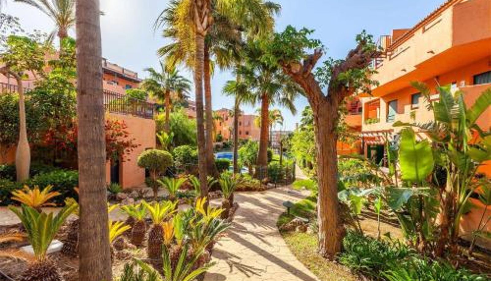 Apartment - Torre del Mar A&N El Señorio 2