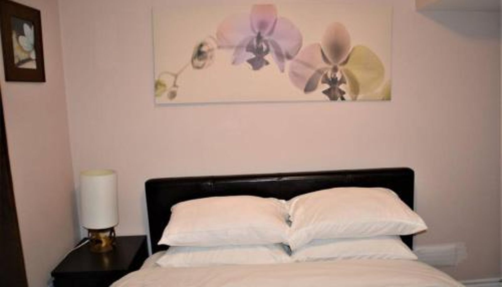 Appartement - Beautiful and spacious Basement Apartment