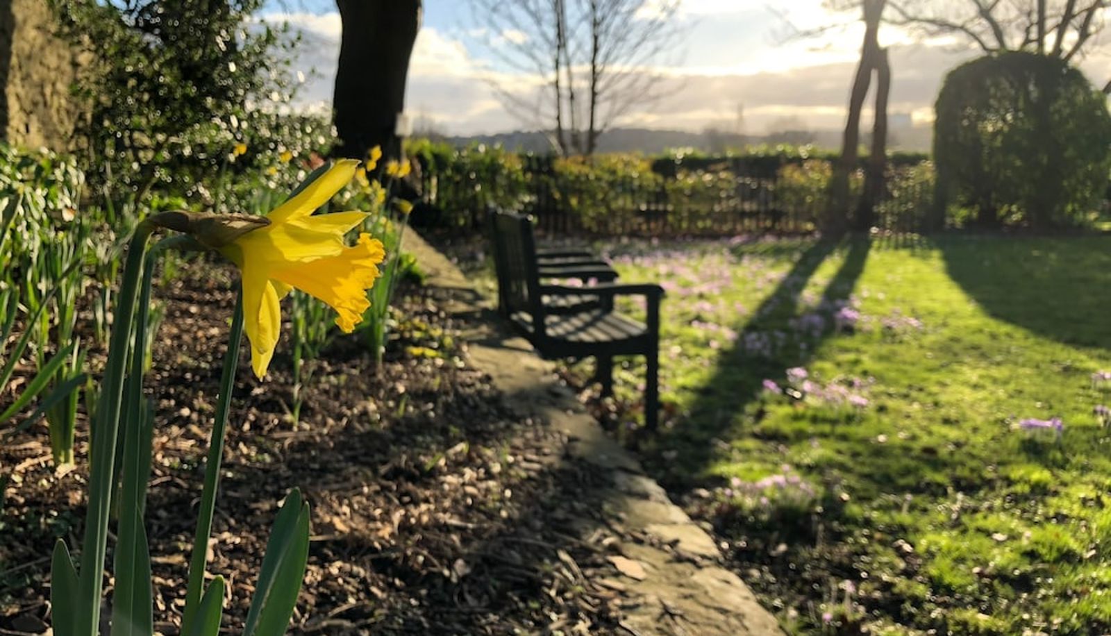 Garden - The Priory Hotel and Restaurant