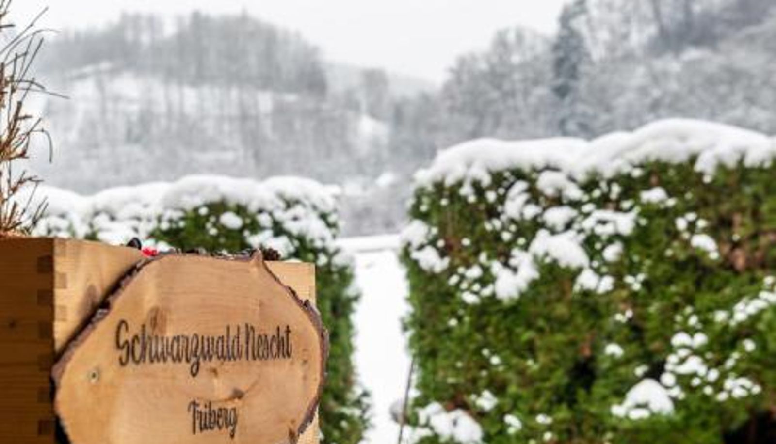 Info - Schwarzwald Nescht Triberg