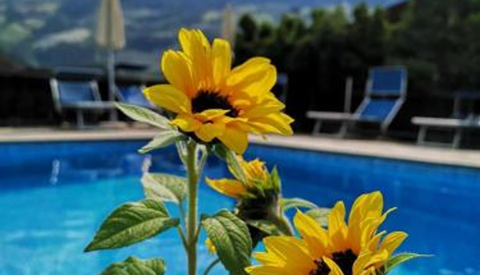 Zewnętrzna część hotelu - Kleon 4