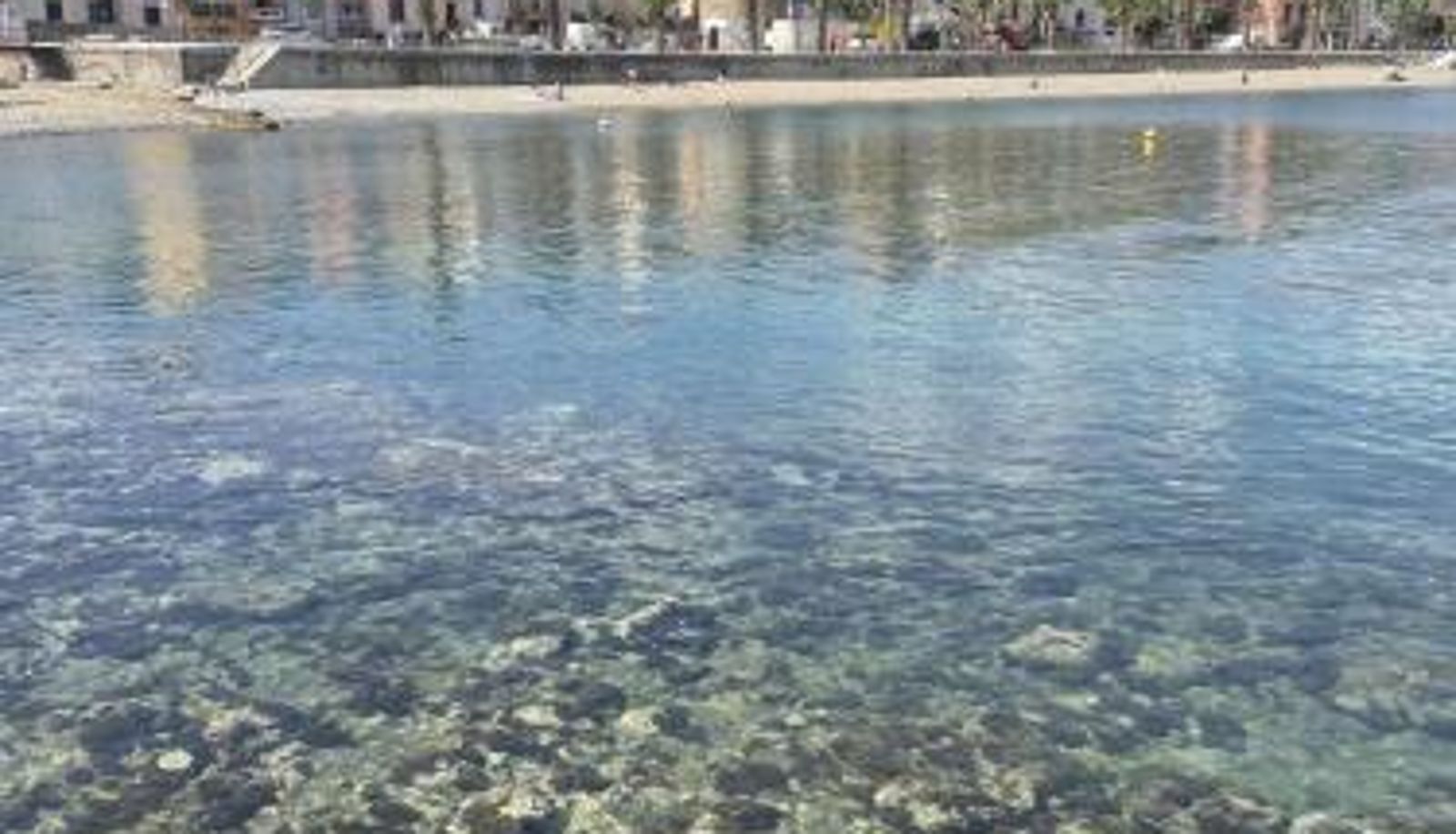Apartment - 4PA22 - Appartement dans résidence avec piscine et parking