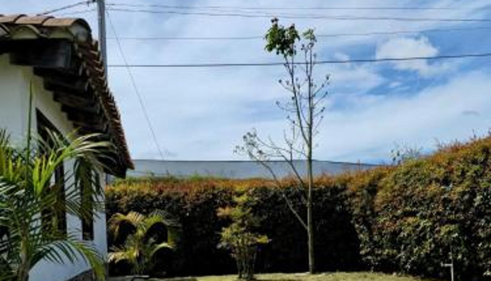 Info - Finca Completa Carmen Viboral Naturaleza y Privacidad