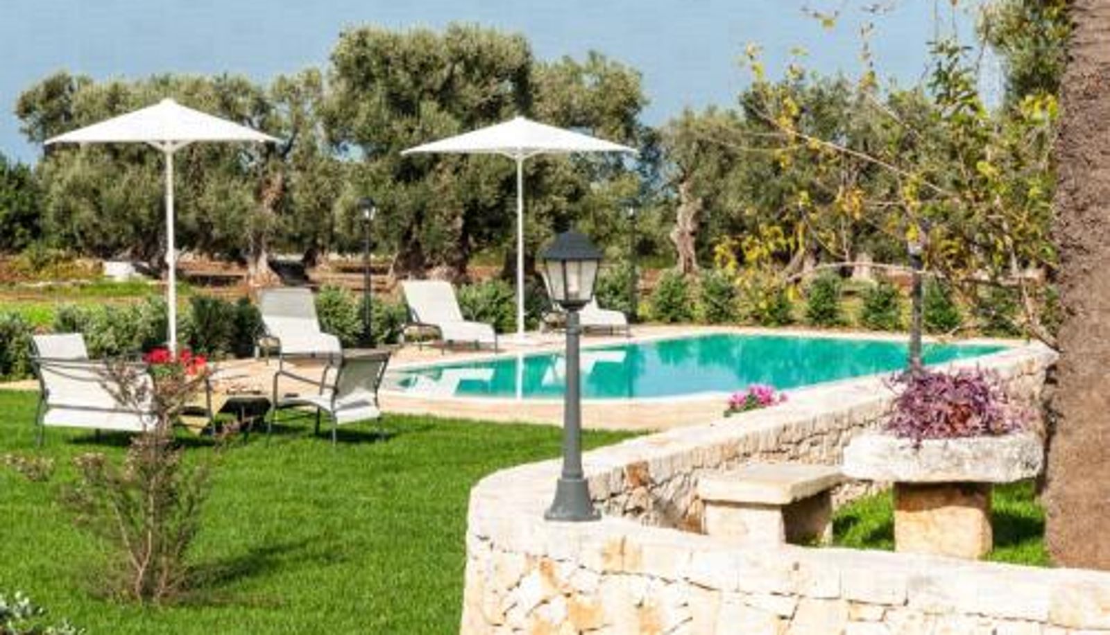 Pool - HelloApulia - Trulli Francisto