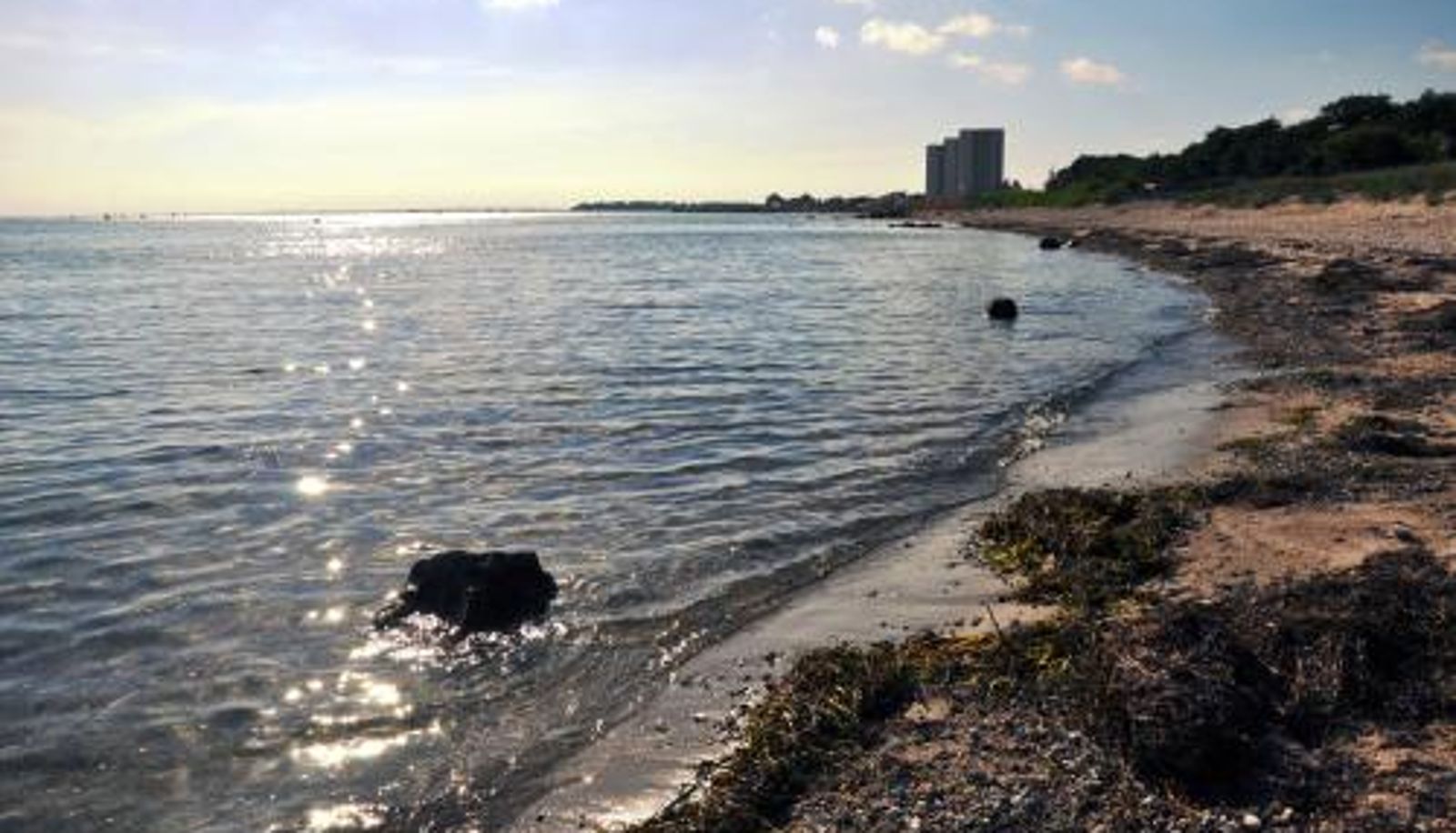 Appartamento - Burgtiefe Südstrand "Tage am Meer"