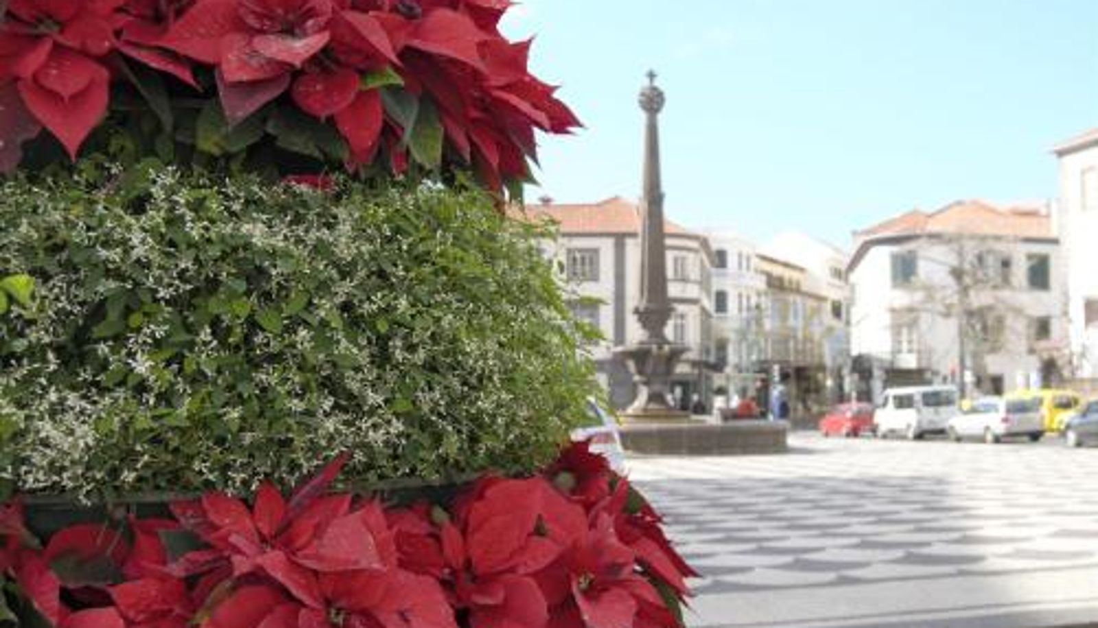 Info - Apartamentos Funchal by Petit Hotels