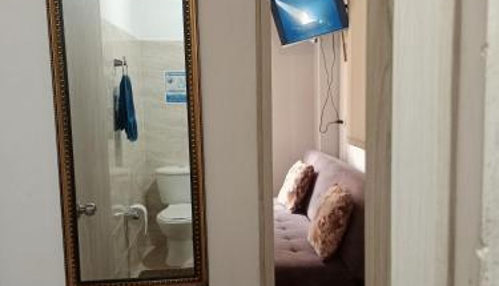 Standard room - Renacer1