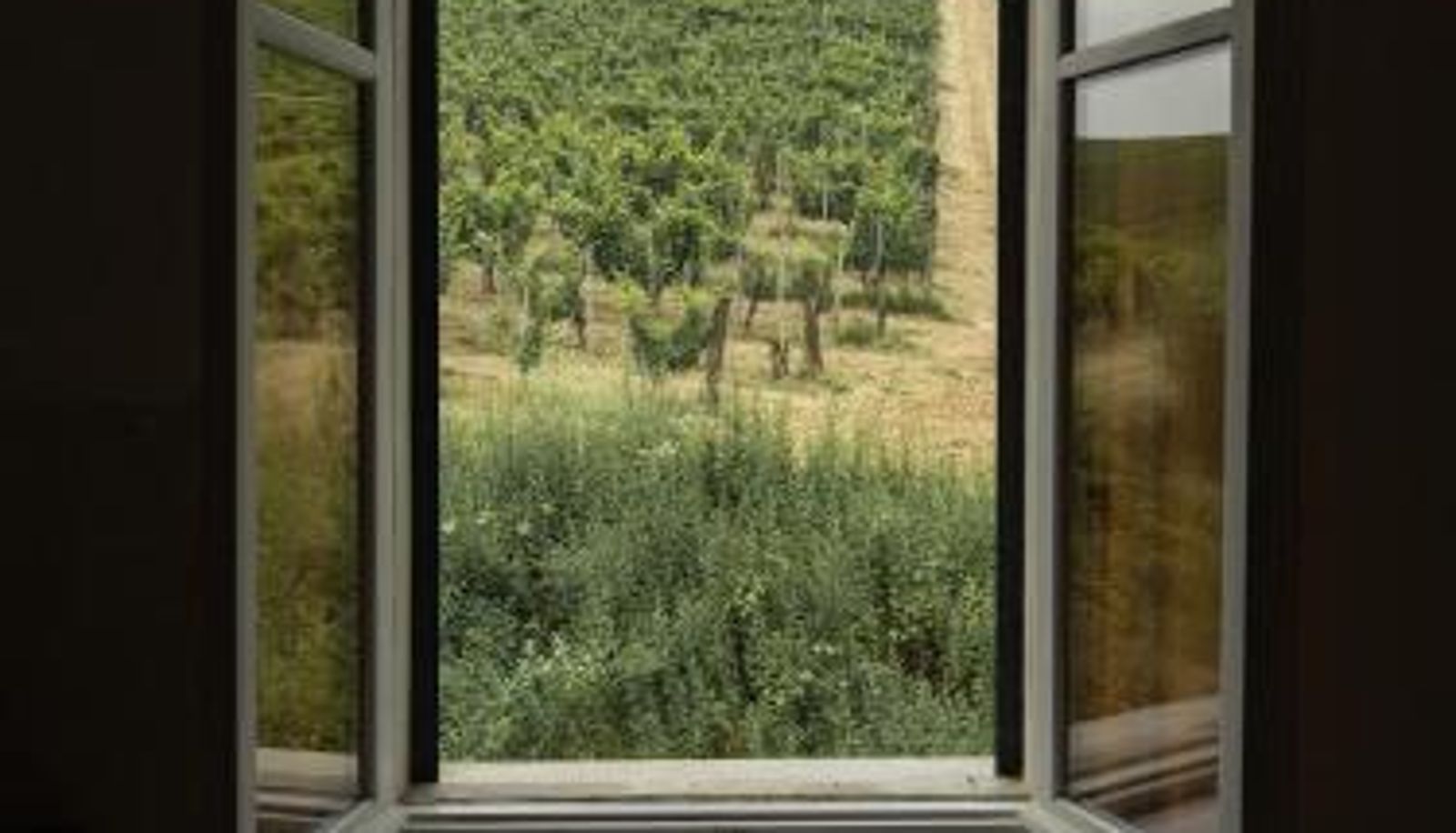 Habitación estándar - Guest House - Azienda Oddone Prati