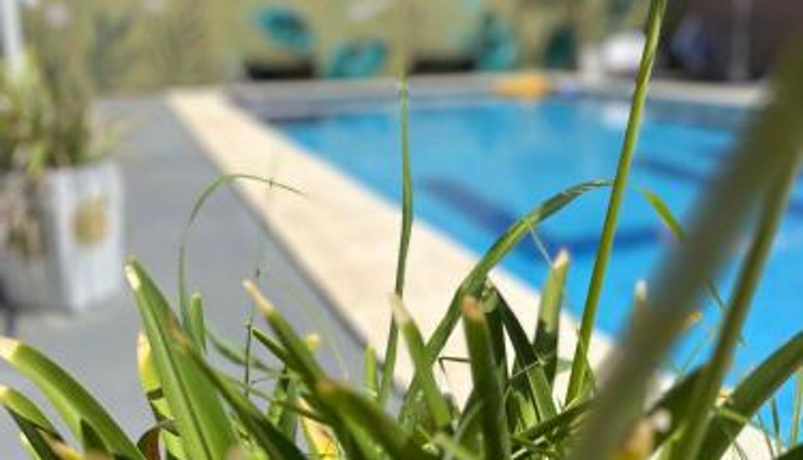 Pool - Lujan Homes Apart Hotel