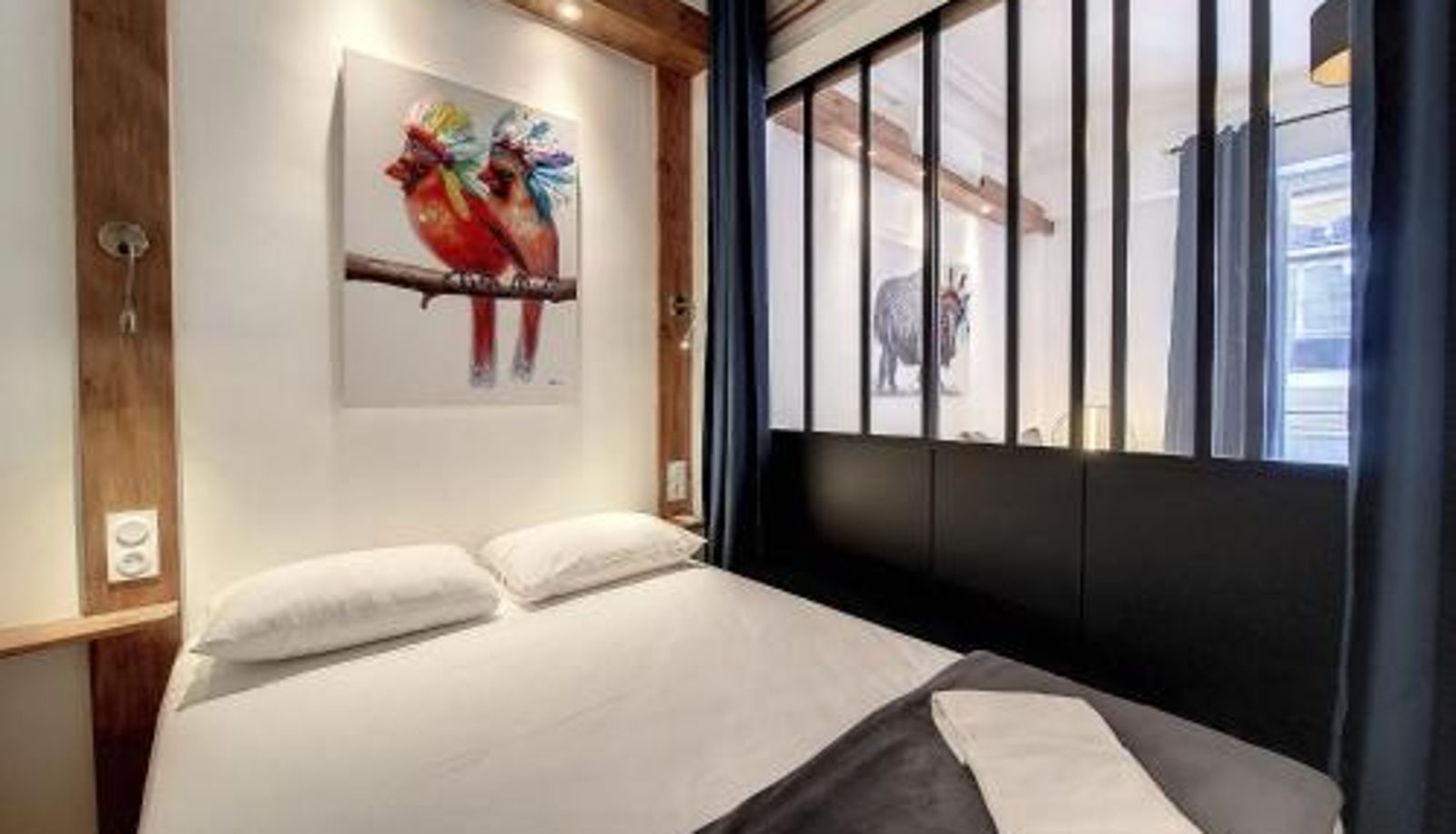 Apartment - Nestor&Jeeves - LE NICOIS - Central
