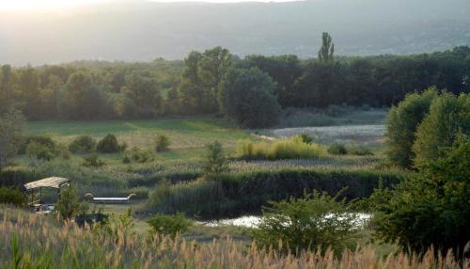 Pool - Residence Les Rossignols