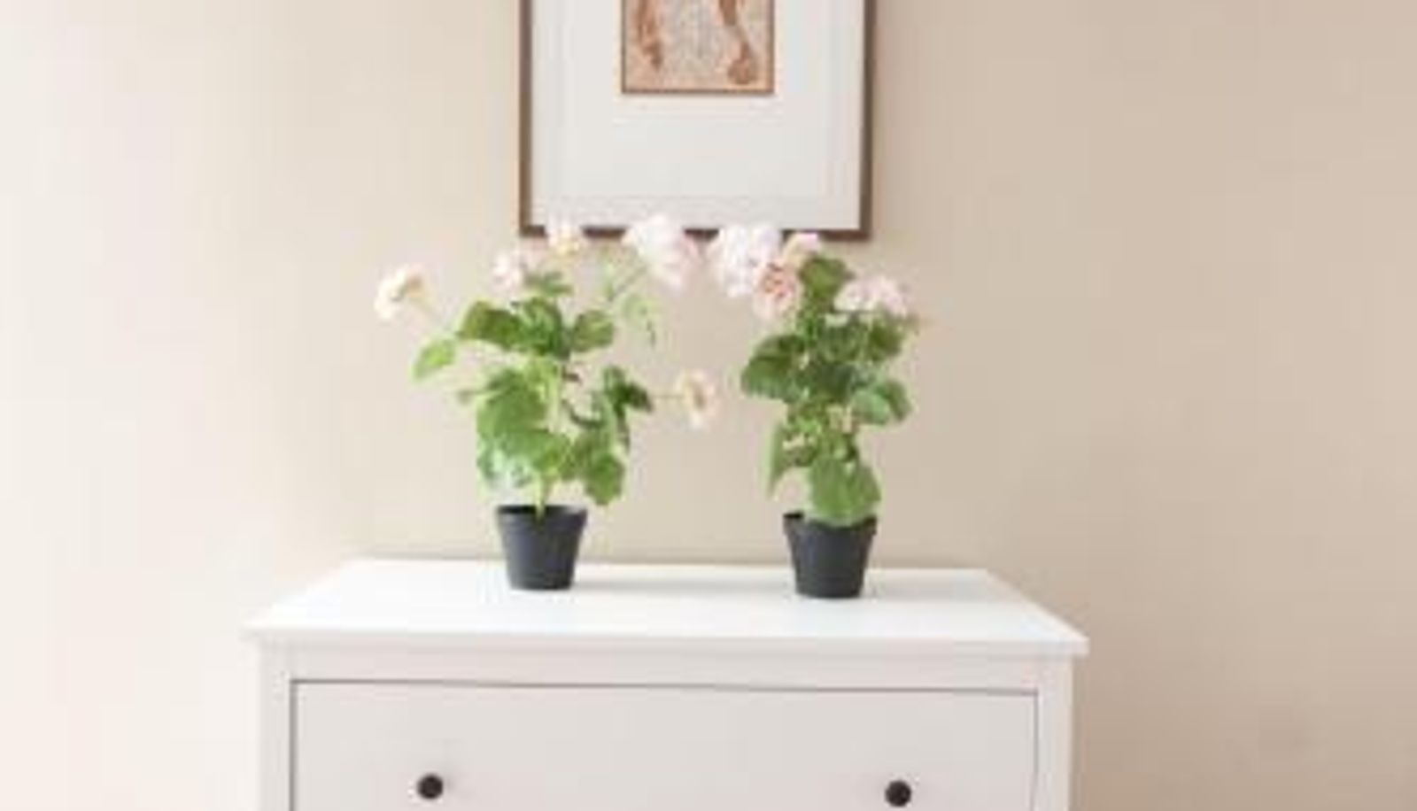Appartamento - Malaga Center Flat Comedias Street