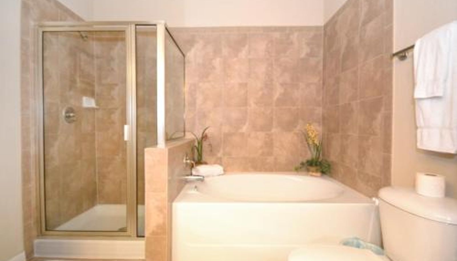 Standard room - Under the Palms condo