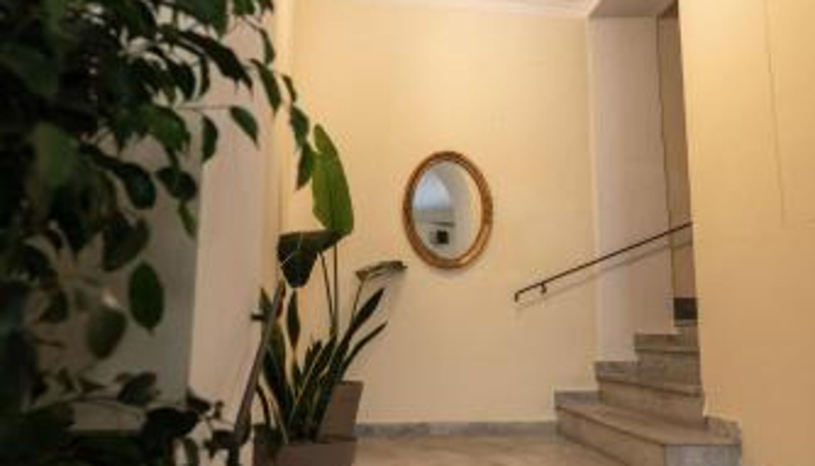 Apartment - Aledo Boutique Apartments