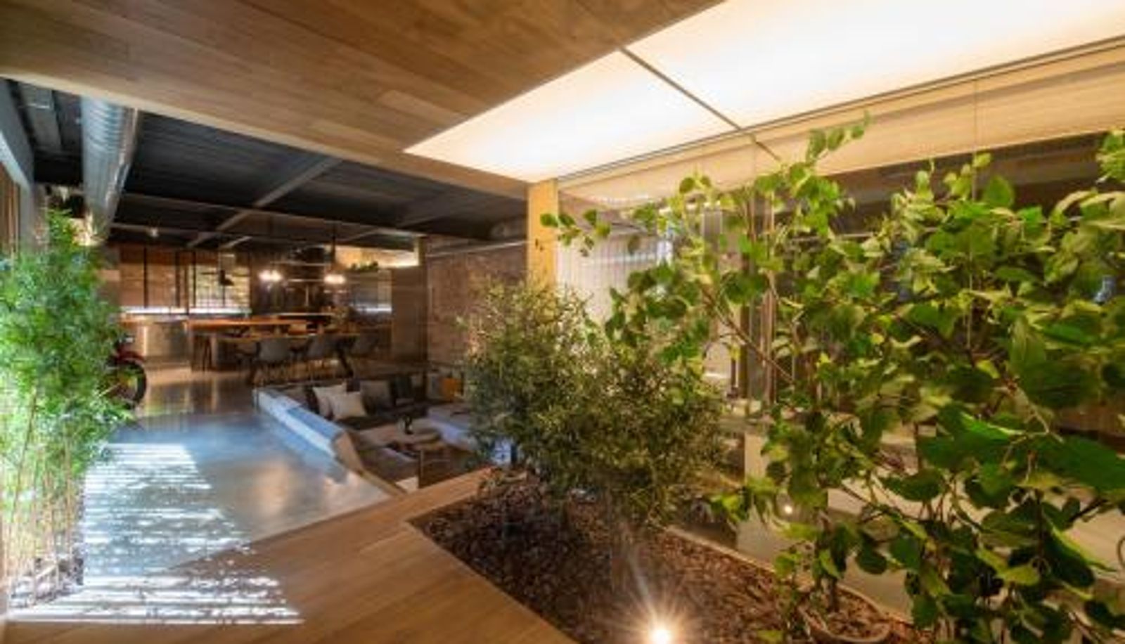 Appartement - Petit Luxe Loft