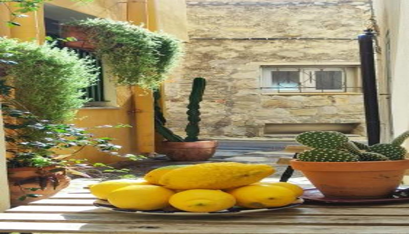 Info - Casa Don Michele