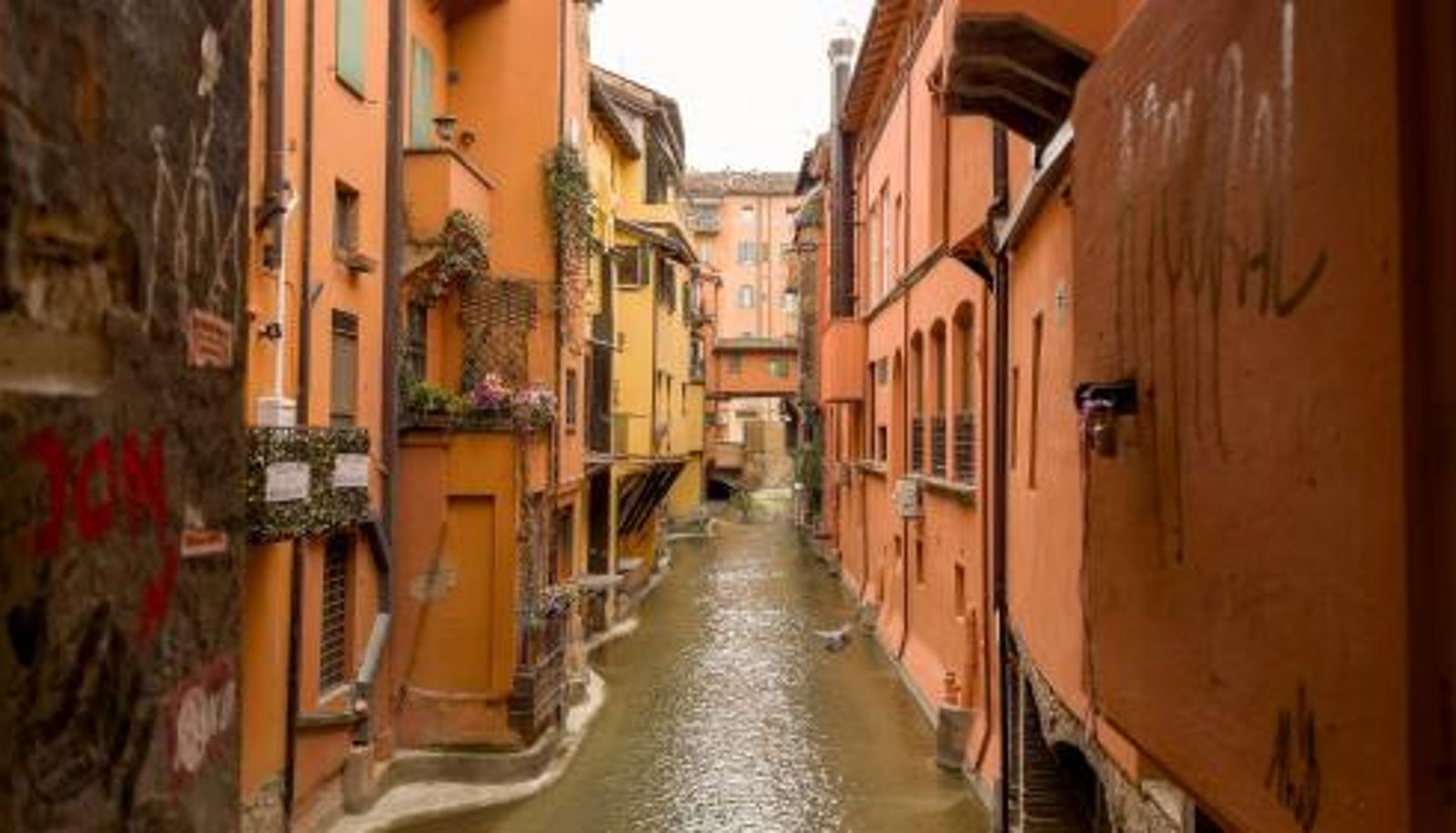 Standard room - Italianway - Piella 5