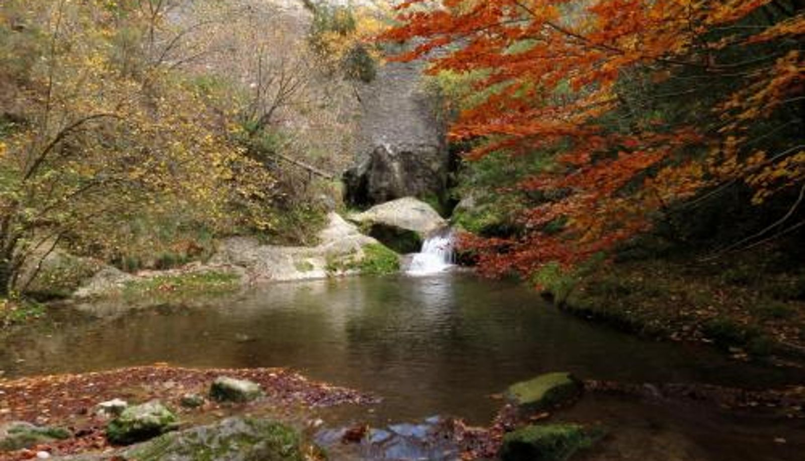 Standardzimmer - Elai Etxea Loft Baias