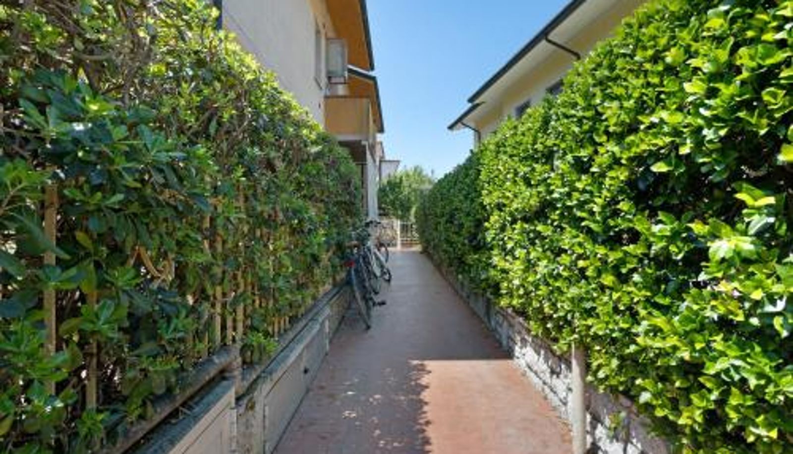 Info - Coral House Viareggio