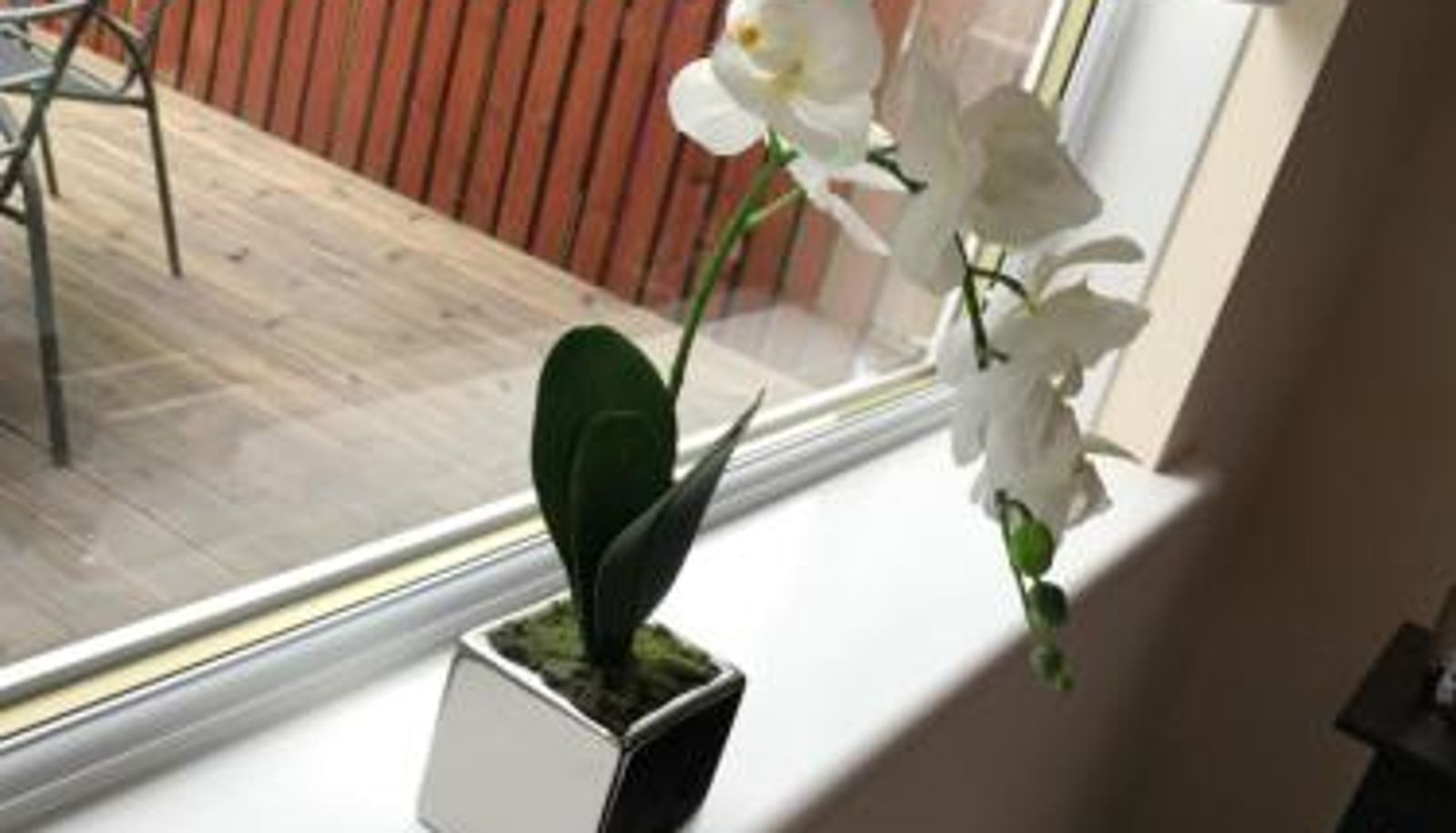 Apartment - No.17 Serviced Apartment