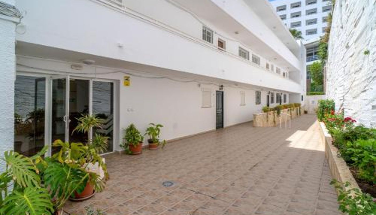 Standard room - Torresol Torrecilla 315 Casasol