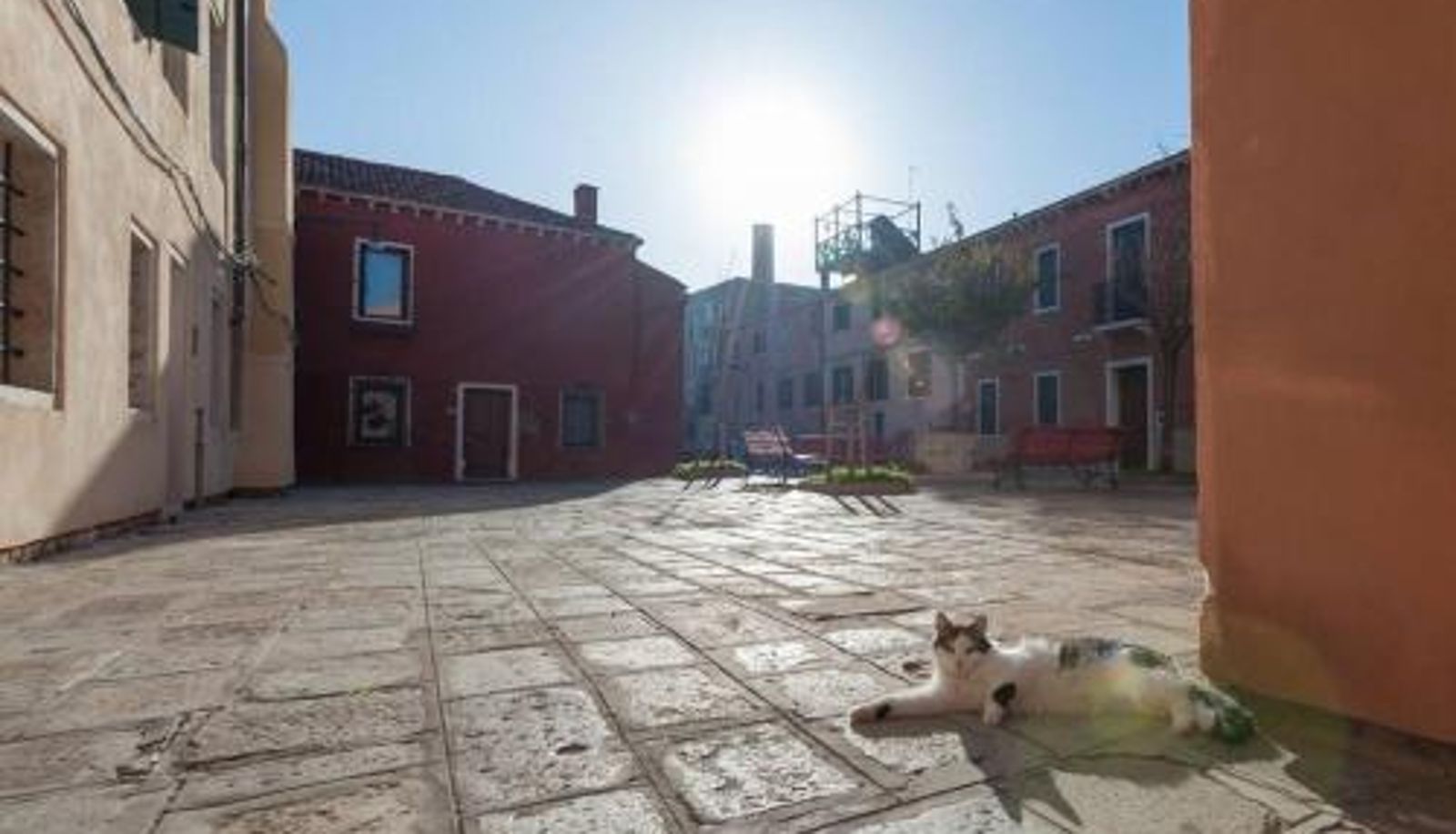 Standard room - experienced host!  brand new apartment Ca' Ferrando