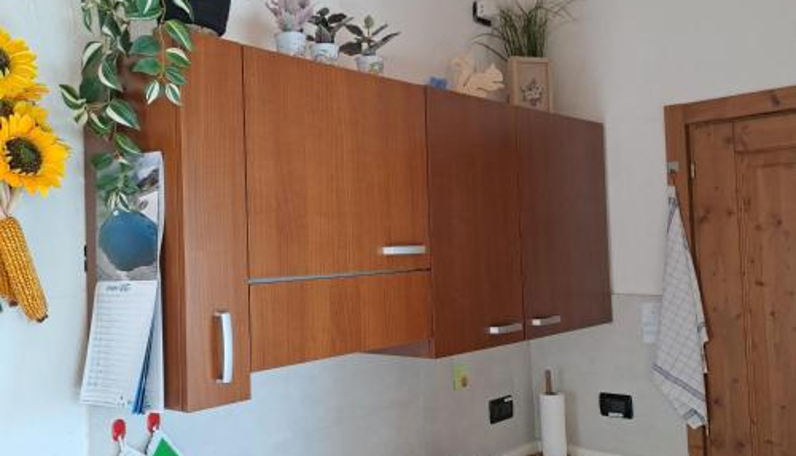 Apartment - Valtellina Grosotto Holidays