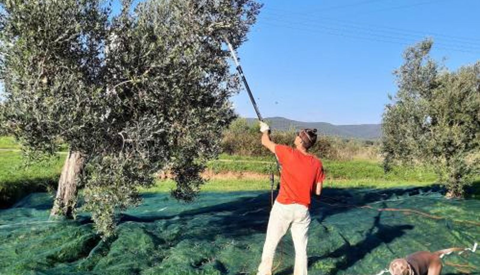 Espace bien-être et fitness - Agriturismo Campo alla Cantina appartamento Ginestra