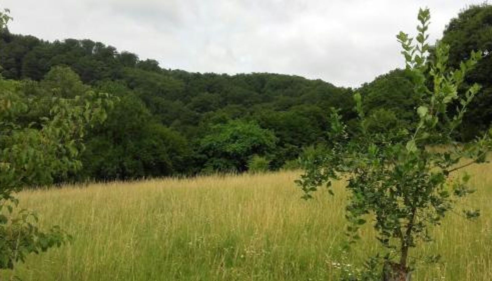 Info - Ferienwohnungen "am Fürstenweg"